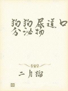 狗狗尿道口黄色分泌物封面