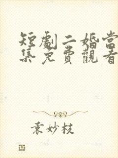 短剧二婚当嫁全集免费观看高清