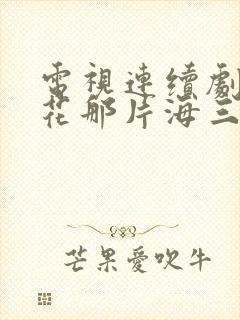 电视连续剧那片花那片海三十三集封面