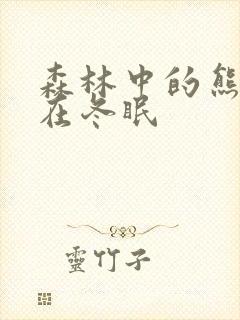 森林中的熊先生在冬眠封面