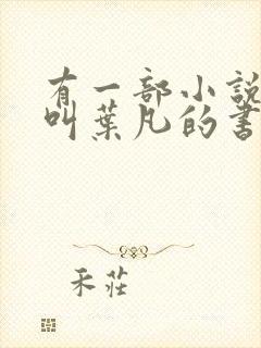 有一部小说主角叫叶凡的书名封面