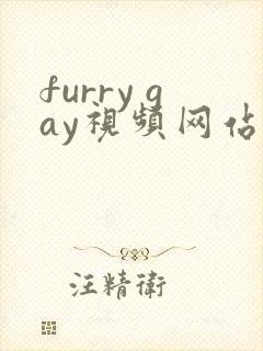 furry gay视频网站