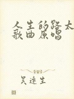 人生的路太难走歌曲原唱