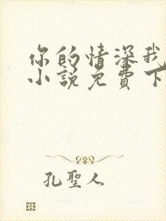 你的情深我不配小说免费下载