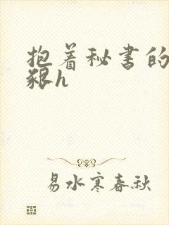抱着秘书的大乳啃h封面