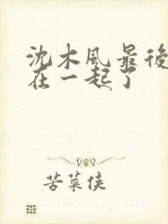 沈木风最后和谁在一起了