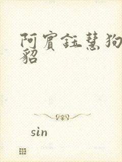 阿宾钰慧狗尾续貂