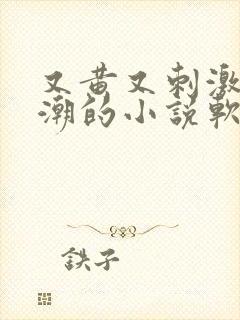 又黄又刺激又高潮的小说软件