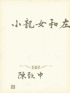 小龙女和左剑清封面