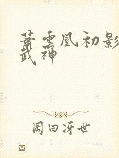 萧云凰初影荒古武神