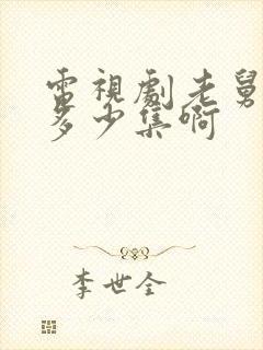 电视剧老舅总共多少集啊封面