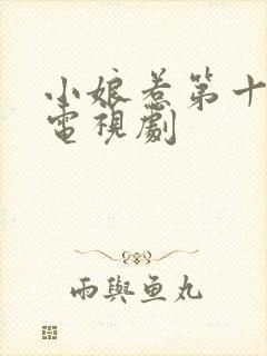 小娘惹第十六集电视剧封面