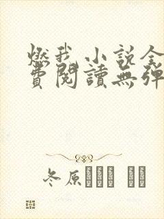 燃我小说全文免费阅读无弹窗