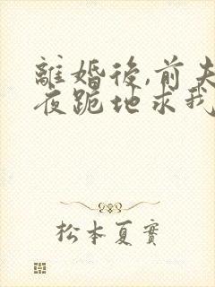 离婚后,前夫雨夜跪地求我复婚封面