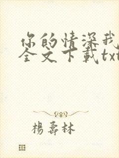 你的情深我不配全文下载txt下载