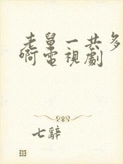 老舅一共多少集啊电视剧