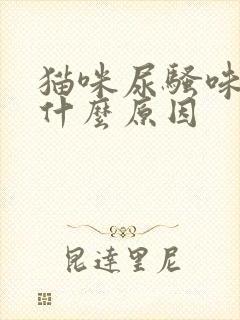 猫咪尿骚味重是什么原因