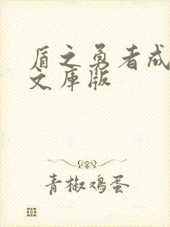 盾之勇者成名录文库版