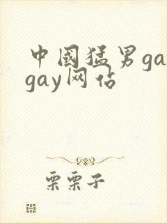 中国猛男gaygay网站封面