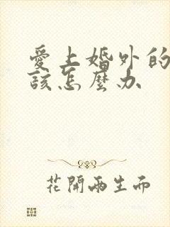 爱上婚外的男人该怎么办封面