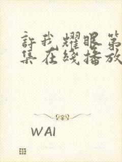 许我耀眼第40集在线播放