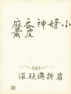 麻衣神婿小说陈黄皮