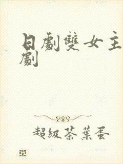 日剧双女主电视剧封面