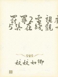 罚罪2电视剧25集在线观看