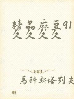 精品麻豆91久久久久久
