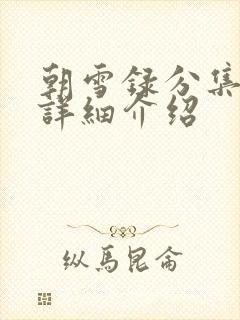 朝雪录分集剧情详细介绍封面