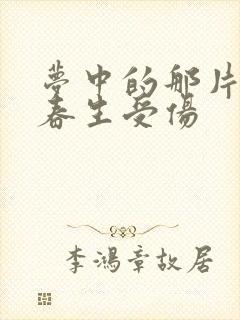 梦中的那片海肖春生受伤