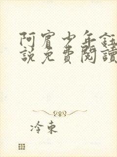 阿宾少年钰慧小说免费阅读笔趣阁