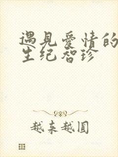 遇见爱情的利先生纪智珍封面