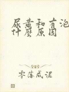 尿黄和有泡泡是什么原因