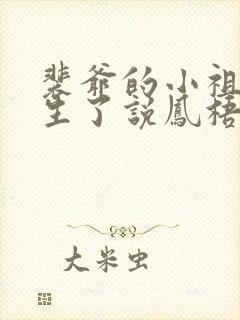 裴爷的小祖宗重生了说凤梧封面