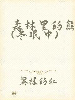 森林里的熊先生(冬眠中)