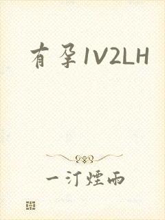 有孕1V2LH