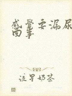 感觉要漏尿怎么回事封面