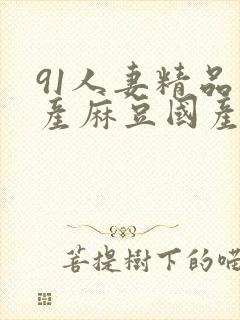 91人妻精品国产麻豆国产91封面