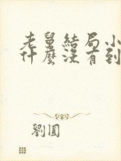 老舅结局小志为什么没有到