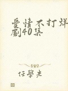 爱情不打烊电视剧40集