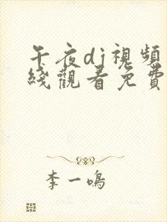 午夜dj视频在线观看免费完整版