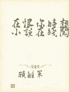 在恨你时想起爱小说在线阅读