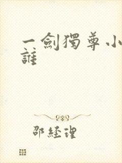 一剑独尊小道是谁封面