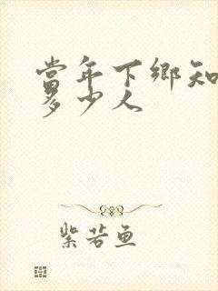 当年下乡知青有多少人