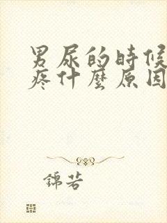 男尿的时候有点疼什么原因