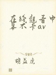 在线观看中文字幕不卡av
