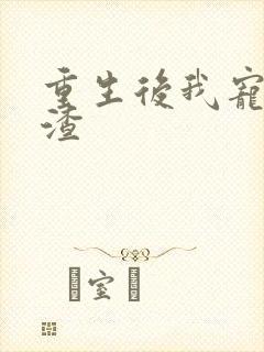 重生后我宠夫灭渣