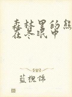 森林里的熊先生在冬眠中封面