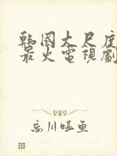 韩国大尺度推荐最火电视剧